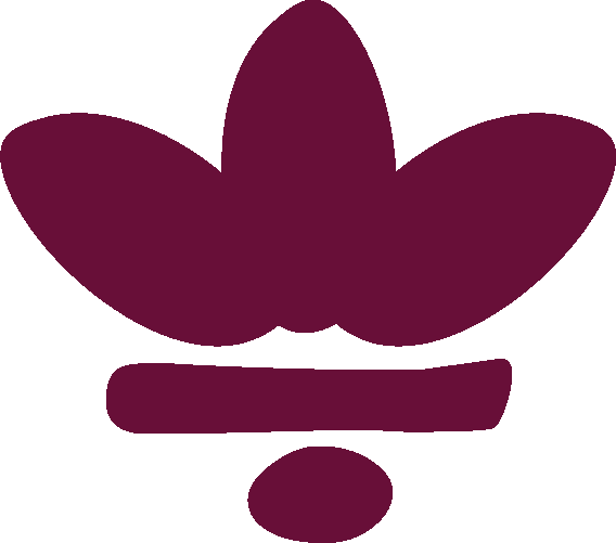 Elemento gráfico floral de identidad visual Ambire