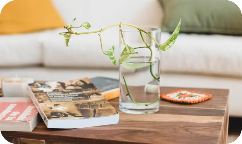 Mesa de la consulta de Ambire con libros de psicología y una planta